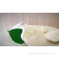 Fresh pure white garlic 5.0 cm